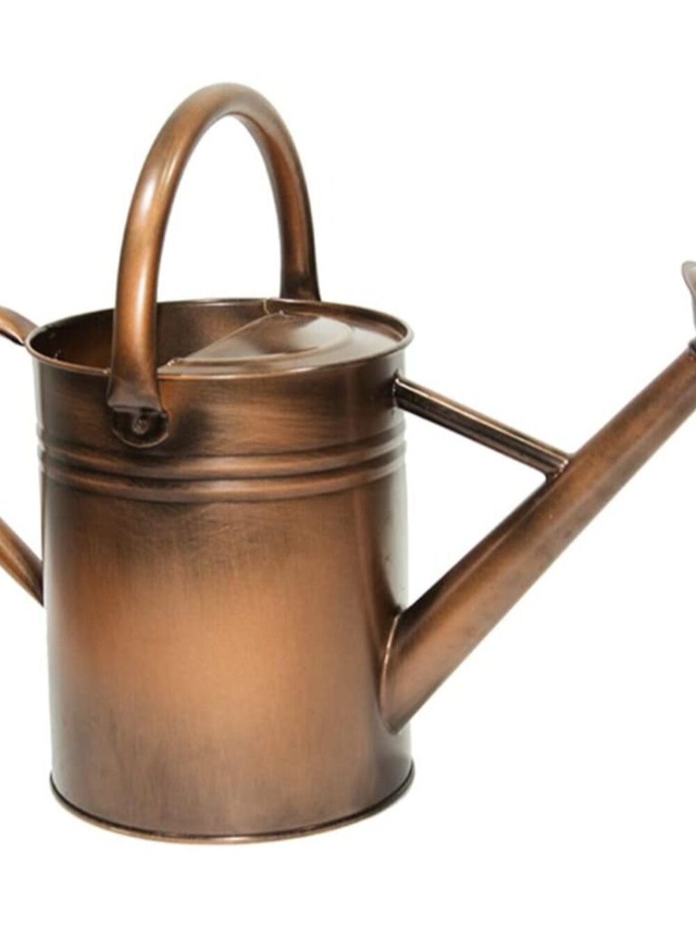 Galvanized Metal Watering Can 1 Gallon for Outdoor Garden Plants